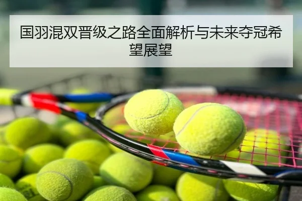 国羽混双晋级之路全面解析与未来夺冠希望展望