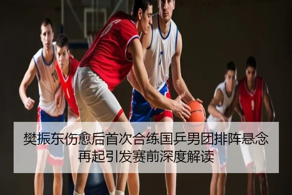 樊振东伤愈后首次合练国乒男团排阵悬念再起引发赛前深度解读